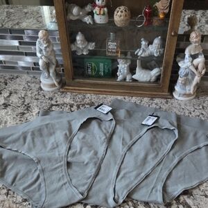 RACHEL Rachel Roy Gray Intimate Apparel Size XL Tan 3 Q. Hipster. No Panty Line